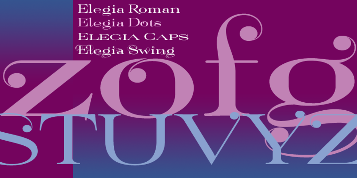Elegia, a Serif Font by Wiescher-Design (Photo 3 of 5)