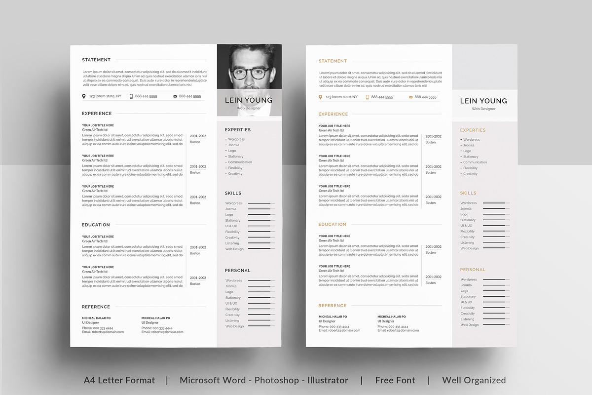 Resume, a Resume Template by paulresume (Photo 2 of 3)