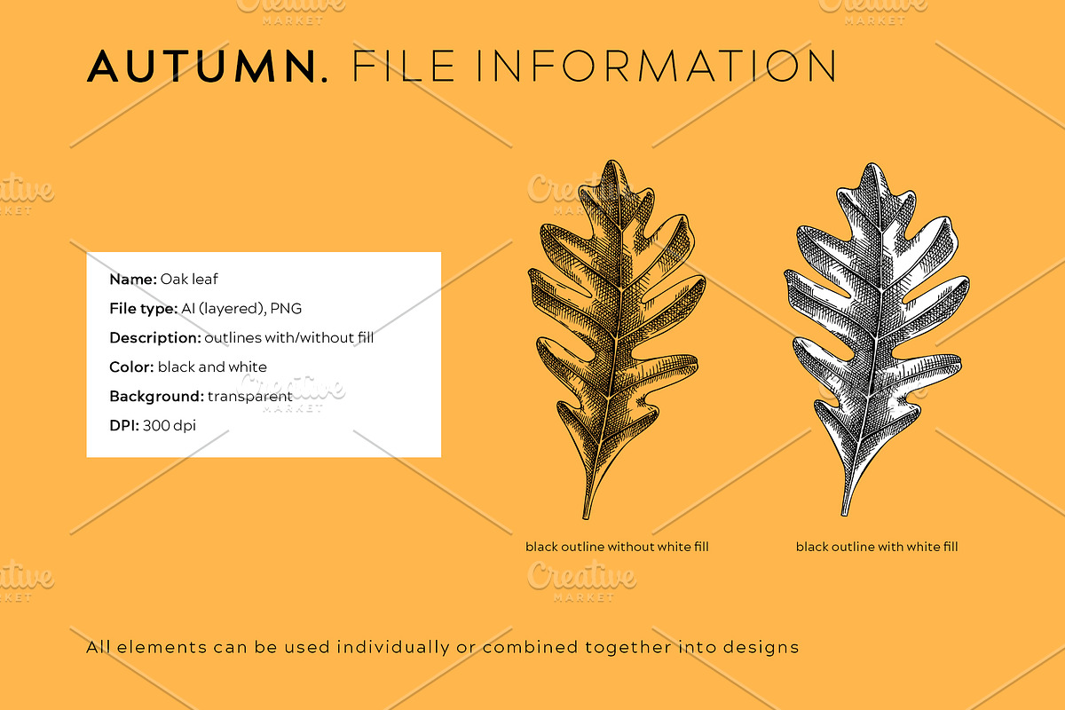 Autumn Leaves & Flowers. Fall Bundle, an Object Graphic by Yevheniia (Photo 10 of 11)