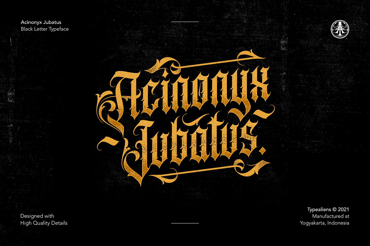 Acinonyx Jubatus, a Blackletter Font by ilhamtaro (Photo 1 of 10)