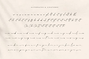 Collingethon Chic Handwritten Script, a Script Font by Namara Creative Studio (Thumbnail 7 of 12)
