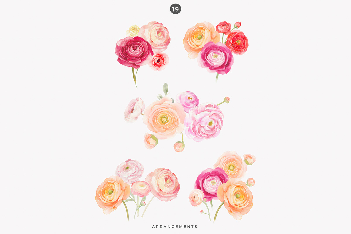 watercolor ranunculus clipart set, a Decorative Illustration by Patishop Art (Photo 7 of 10)