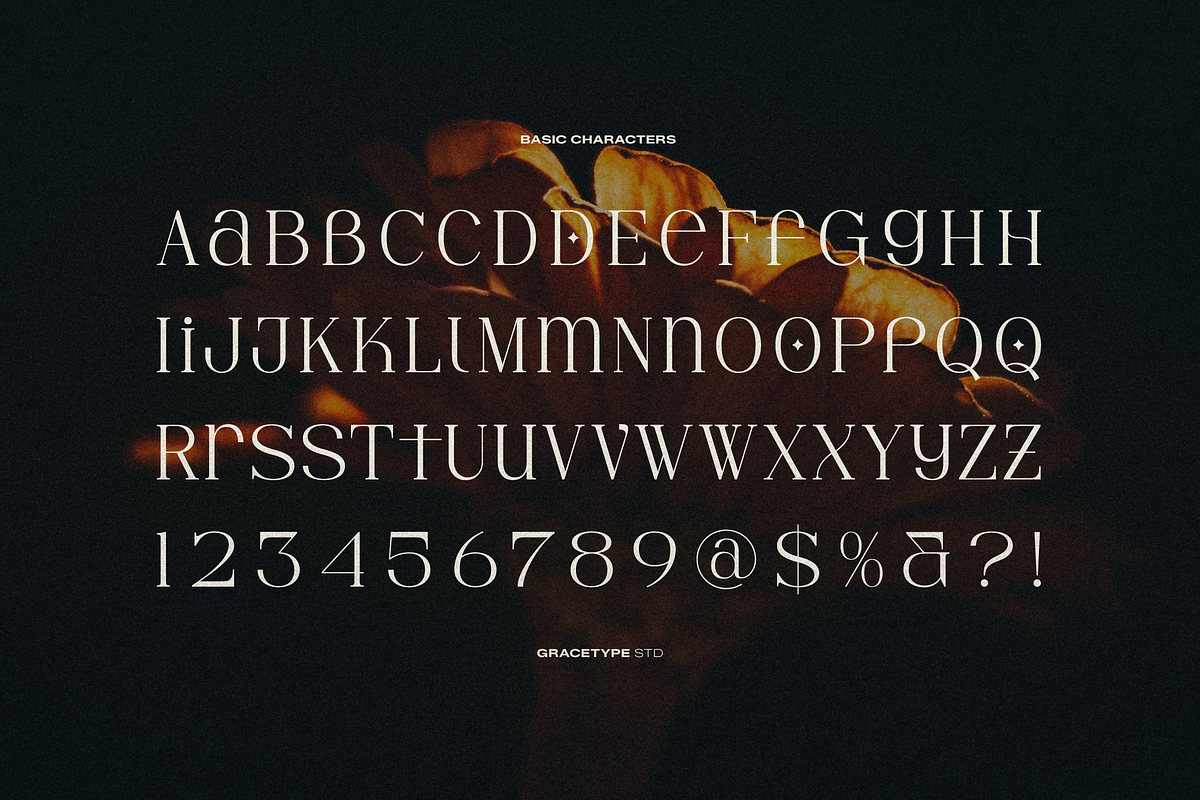 Hesay Verso | Display Classic Serif, a Serif Font by gracetype_studio (Photo 10 of 12)