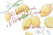 Botanical Style Lemon Illustrations, a Food Illustration by Milla_Zelenyuk_art (Thumbnail 2 of 3)