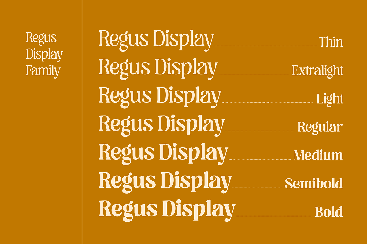 Regus Display - 90's Serif Family, a Serif Font by Holyline Design (Photo 2 of 15)