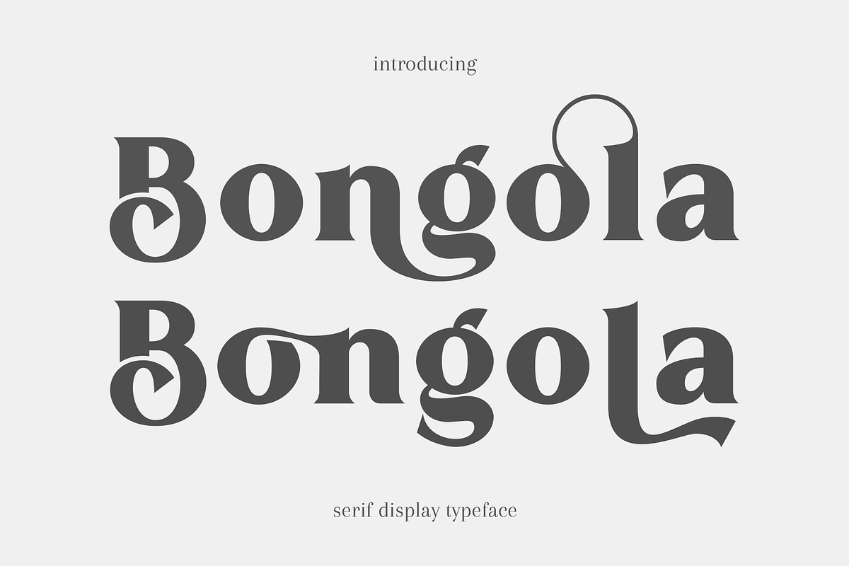 Bongola | Serif Display Font, a Serif Font by RT Studio (Photo 1 of 11)