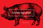 Okana Condensed Sans Serif, a Sans Serif Font by CorgiAstronaut (Thumbnail 3 of 9)