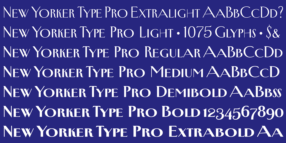 New Yorker Type Pro, a Serif Font by Wiescher-Design (Photo 7 of 8)