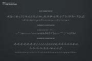 Harmony Font, a Script Font by LineTale (Thumbnail 9 of 9)