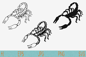 Scorpion Set Vector SVG PNG JPEG