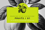 Fruit illustrations - engravings/01, a Food Illustration by Graxaim Mock-up (Thumbnail 1 of 4)