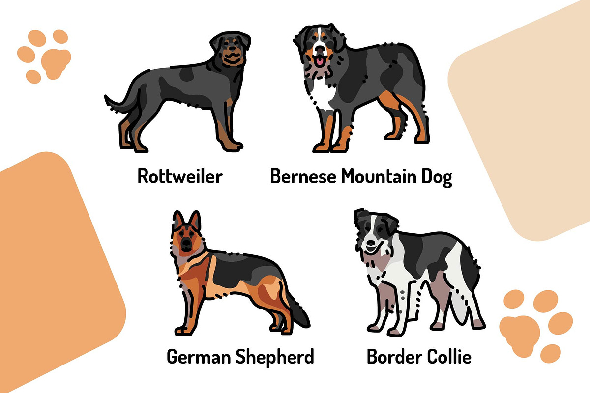 Breed dogs icons set, an Animal Illustration by Backwoods_studio (Photo 6 of 10)