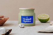 Beachy Lemon Modern Serif Font, a Serif Font by timelesstype.co (Thumbnail 12 of 20)