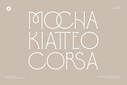 Macwine - Beautiful Chic Serif, a Serif Font by roomspace creative lab (Thumbnail 4 of 13)