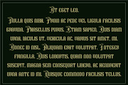 Wicken park, a Blackletter Font by LetterStock (Thumbnail 6 of 7)