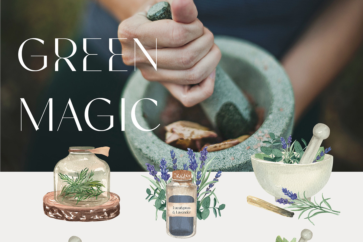 Modern Magic Herbs & Crystals, a Healthcare Illustration by Catch the Dream Art (Photo 7 of 8)