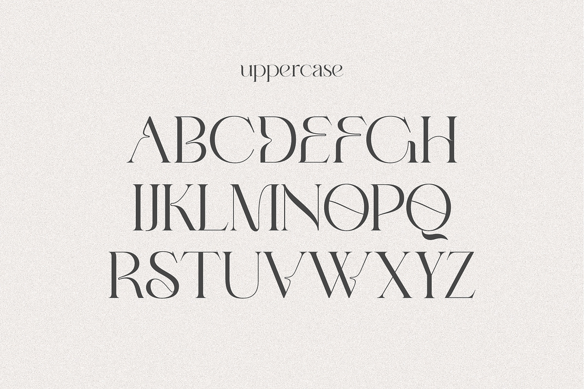EUFORIA — An Aesthetic Serif, a Serif Font by Prestige Artsy Studio (Photo 6 of 10)