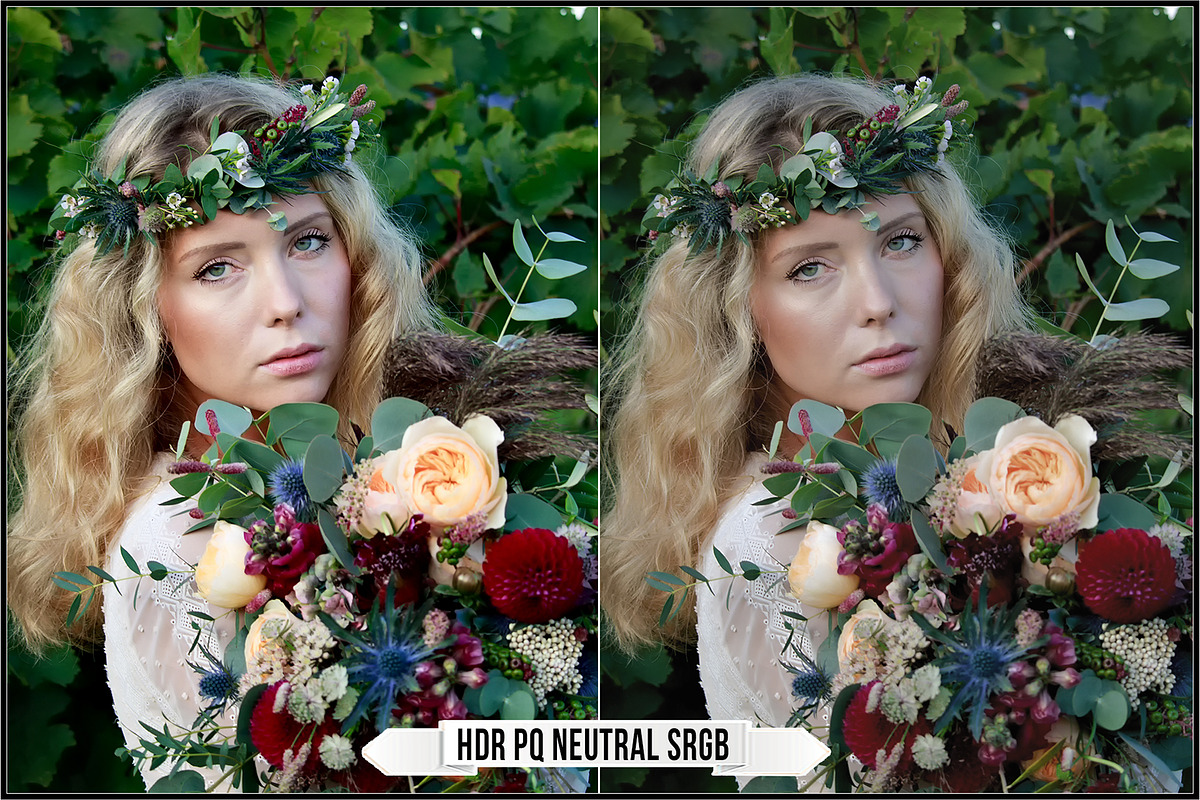 Canon HDR PQ Picture Styles, a Plug-in Add-On by Raztrend (Photo 3 of 30)