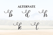 Endfield | Script Font, a Handwritten Font by Scratchones (Thumbnail 8 of 9)