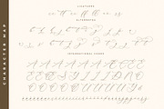 Waltney Flores A Beauty Calligraphy, a Script Font by Storytype Studio (Thumbnail 14 of 15)