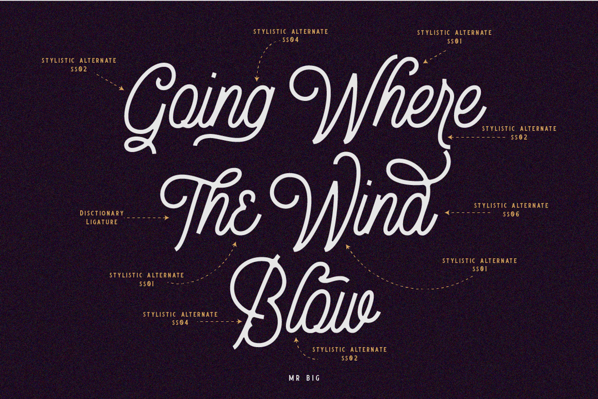 Bellonion Script ( font duo ) preview 4