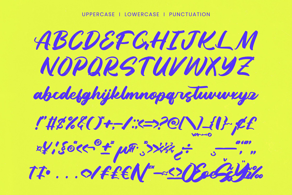 Dhaily Cluter - Bold Brush Font, a Script Font by Letterena Studios Script (Photo 13 of 15)