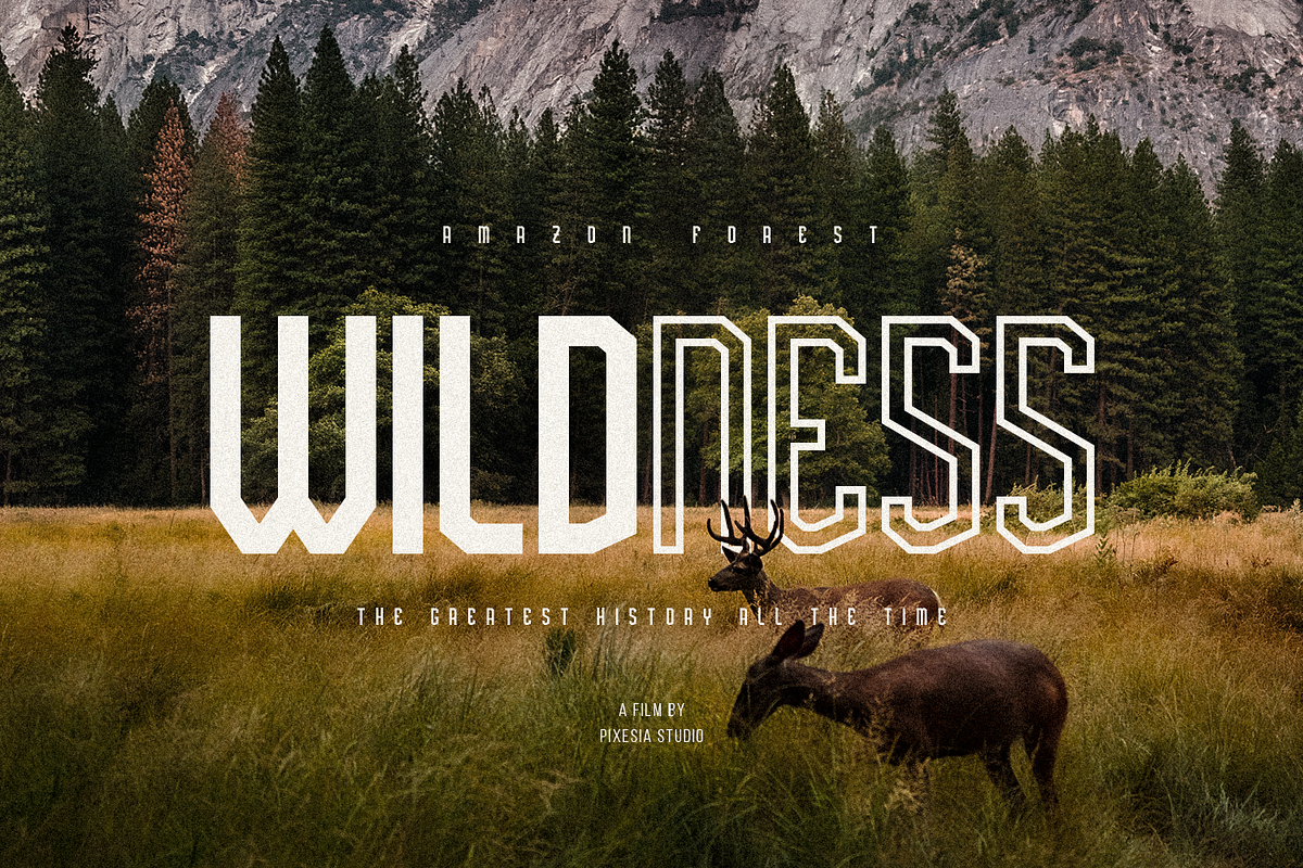 Brightland - Condensed Sans Serif, a Sans Serif Font by Pixesia Studio (Photo 13 of 13)