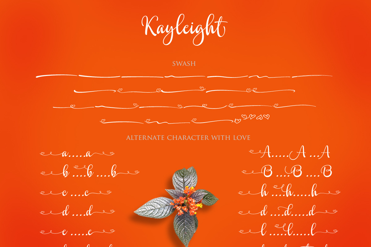 Kayleight, a Script Font by Byuly Ayika (Photo 12 of 12)