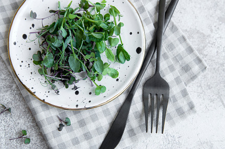 Assortment of micro greens on concrete background, a Food & Drink Photo by Olena Rudo