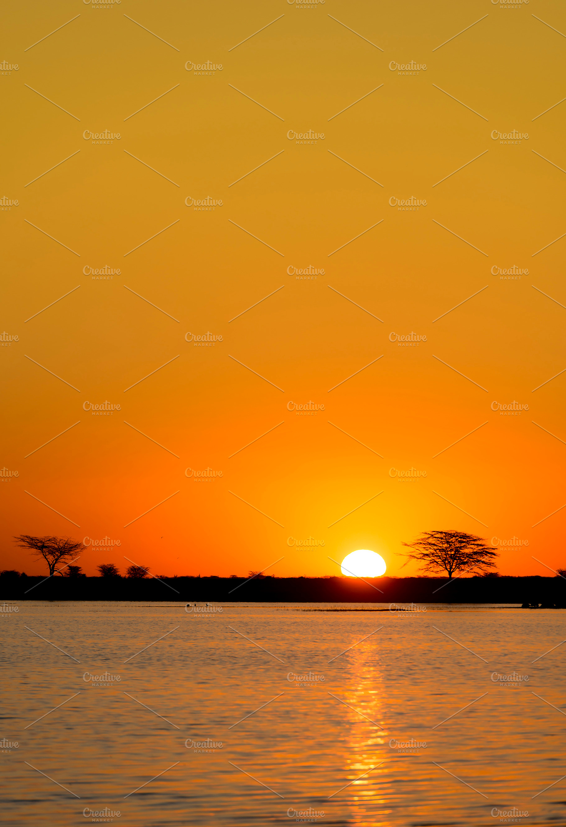 African Sunset, a Nature Photo by THP Creative