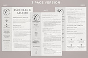 Sales Assistant Creative Resume, a Resume Template by HIRED Design Studio (Thumbnail 3 of 15)
