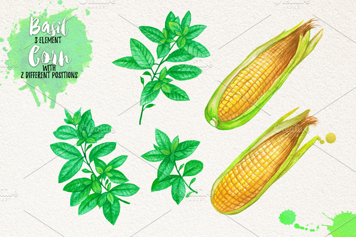 Watercolor Vegetables, Herbs, Green, an Animal Illustration by Graphobia (Photo 4 of 11)