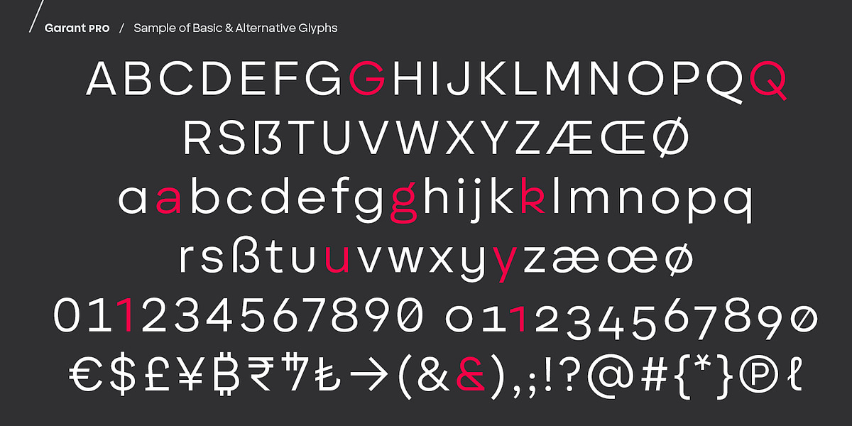 BF Garant Pro, a Sans Serif Font by BrassFonts (Photo 9 of 12)