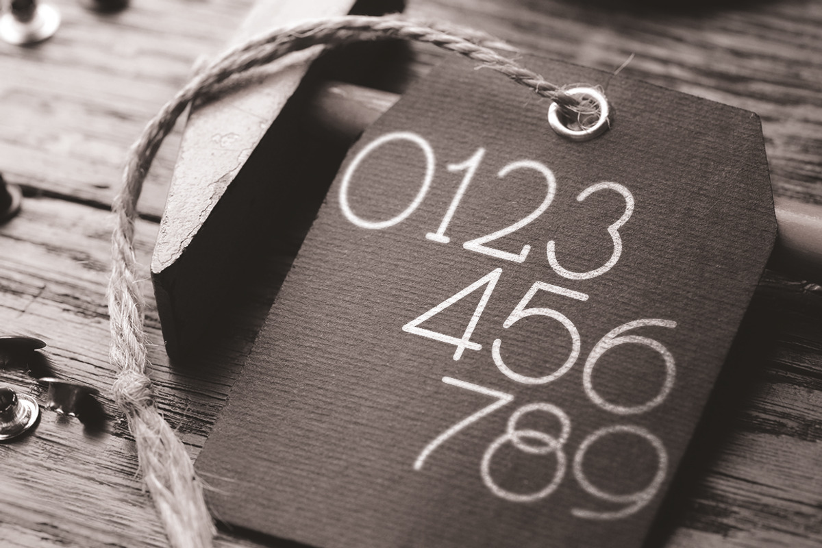 Skybird Font preview 5