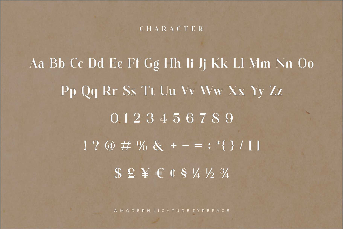 Vattea Villany Modern Serif Typeface, a Serif Font by Dylla_studio (Photo 9 of 10)