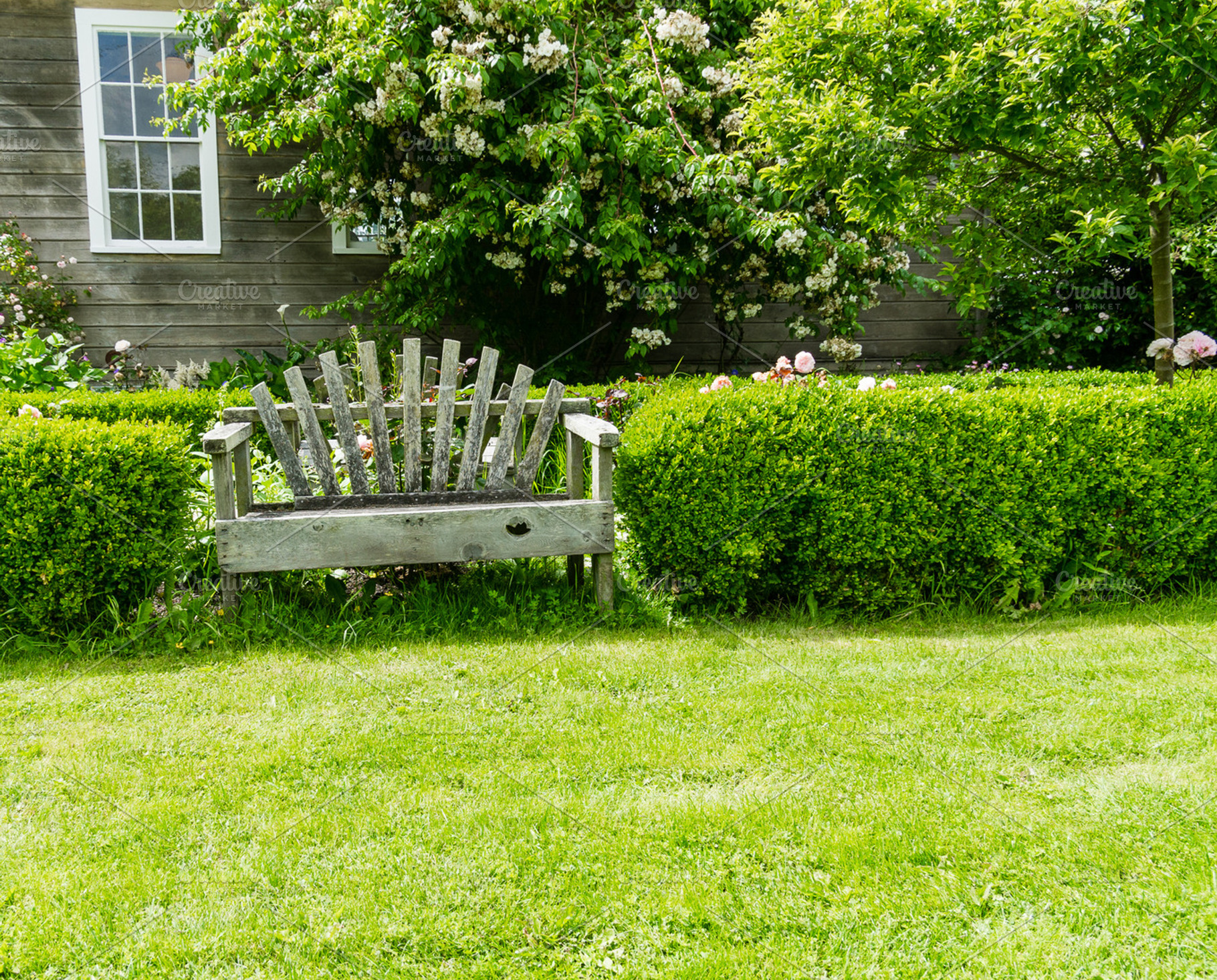 Wooden Bench In The Garden Featuring Garden Grass And Lawn