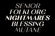 Rachstela Font Family - 14 Styles!, a Sans Serif Font by Martype (Thumbnail 10 of 15)