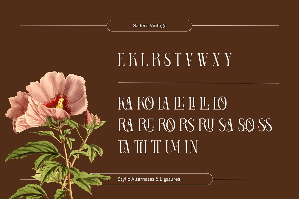 Gallero Vintage - Serif Display, a Serif Font by Nirmana Visual (Photo 7 of 10)