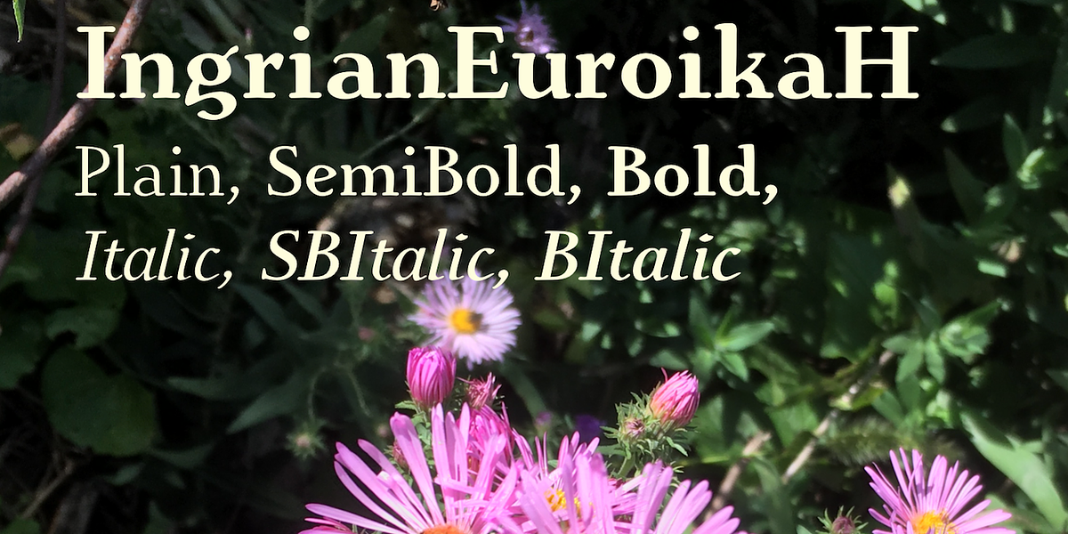 IngrianEuroika, a Serif Font by Ingrimayne Type (Photo 1 of 9)