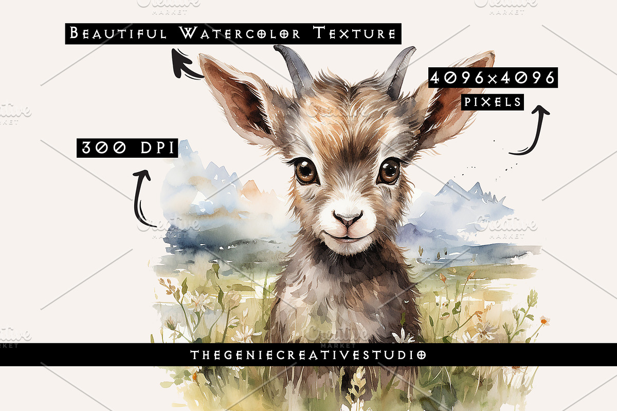 Watercolor PNG  Baby Goat Clipart, an Animal Illustration by Geniecreativestudio (Photo 3 of 9)