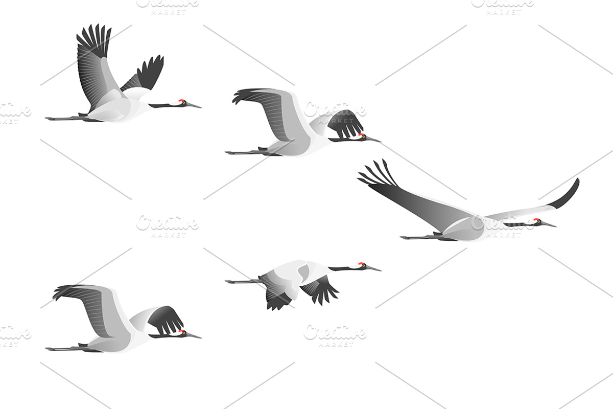 Characters Flight of Cranes Set., an Object Graphic by Bigmouse_art