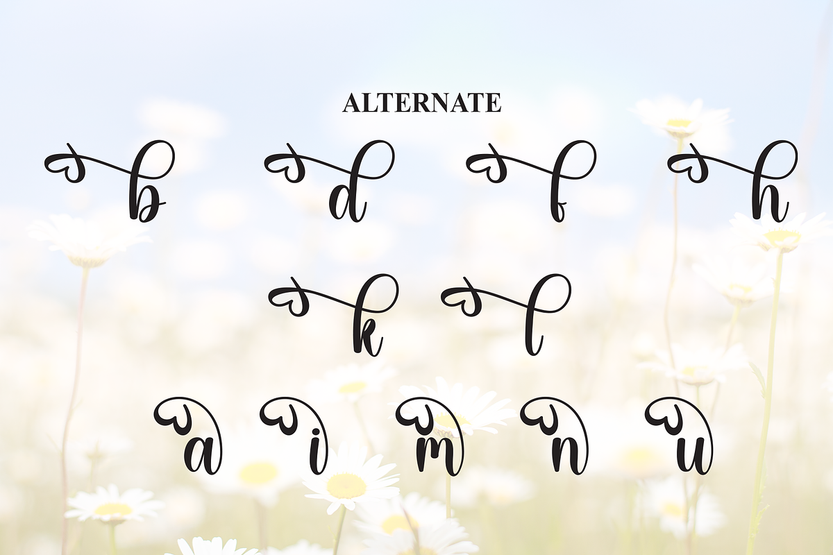 Dandelion | Script Font, a Handwritten Font by Scratchones (Photo 8 of 9)