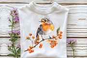 Autumn Robin Bird Clipart, an Illustration by CraftArtStudio (Thumbnail 4 of 6)
