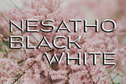 Nesatho OK, a Sans Serif Font by glukfonts (Thumbnail 2 of 10)