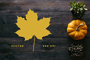 Autumn Leaf Silhouettes + Bonus, an Object Graphic by Build Interactive (Thumbnail 2 of 4)
