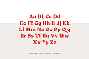 Something New A Serif Blackletter, a Blackletter Font by Colt Type Co (Thumbnail 4 of 7)