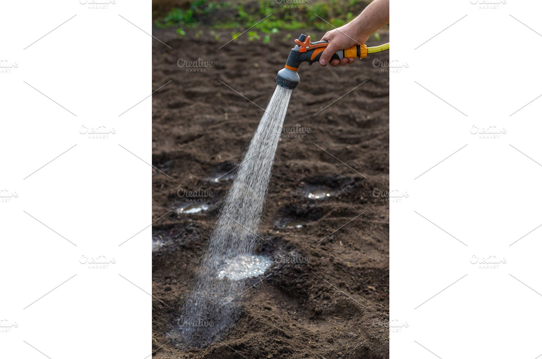 watering in the garden. Selective, a Nature Photo by yanadjana