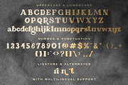 Reina Sayuri - Display Serif Font, a Serif Font by BlancaLab Studio (Thumbnail 7 of 7)