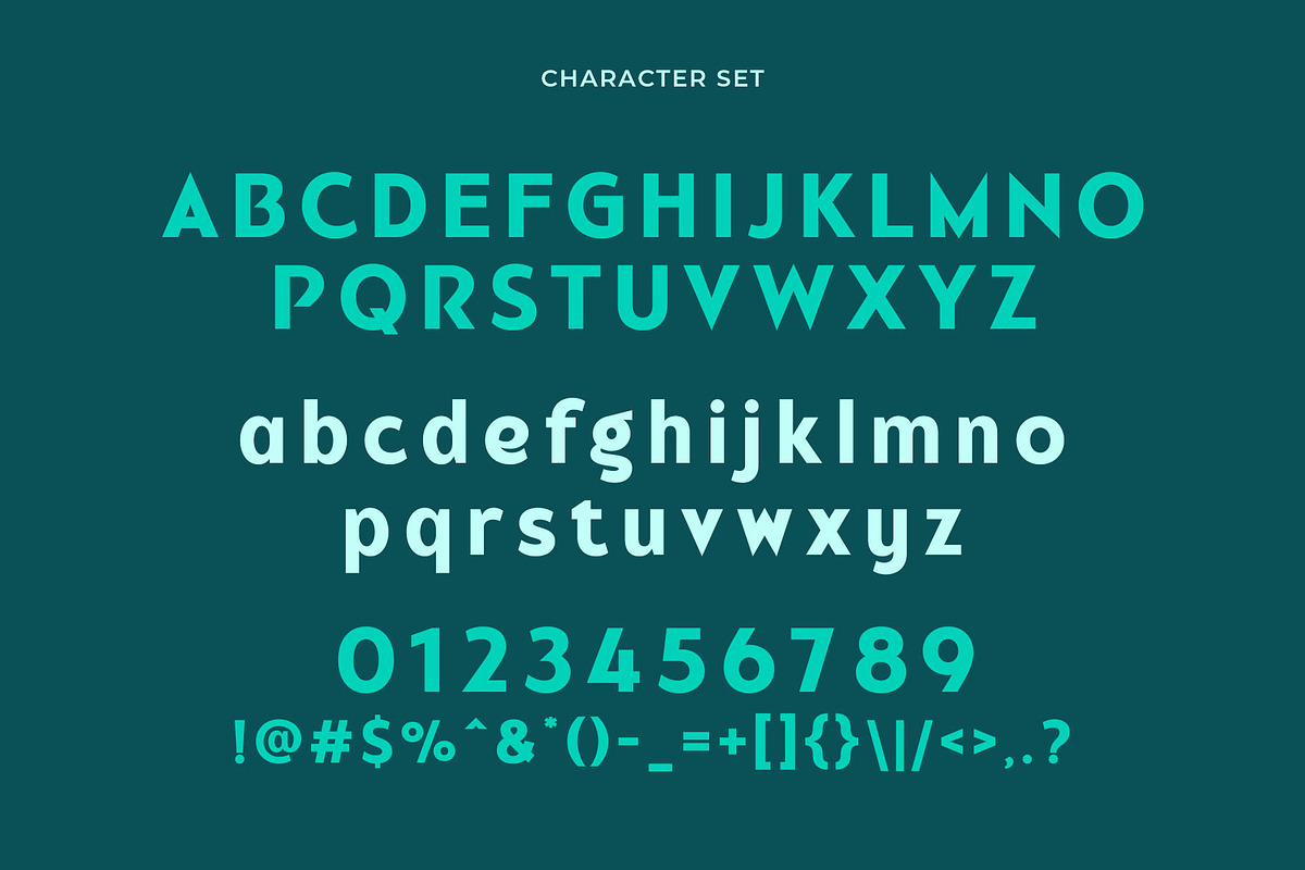 Realized - Modern Sans Serif, a Sans Serif Font by Typeformers (Photo 4 of 5)