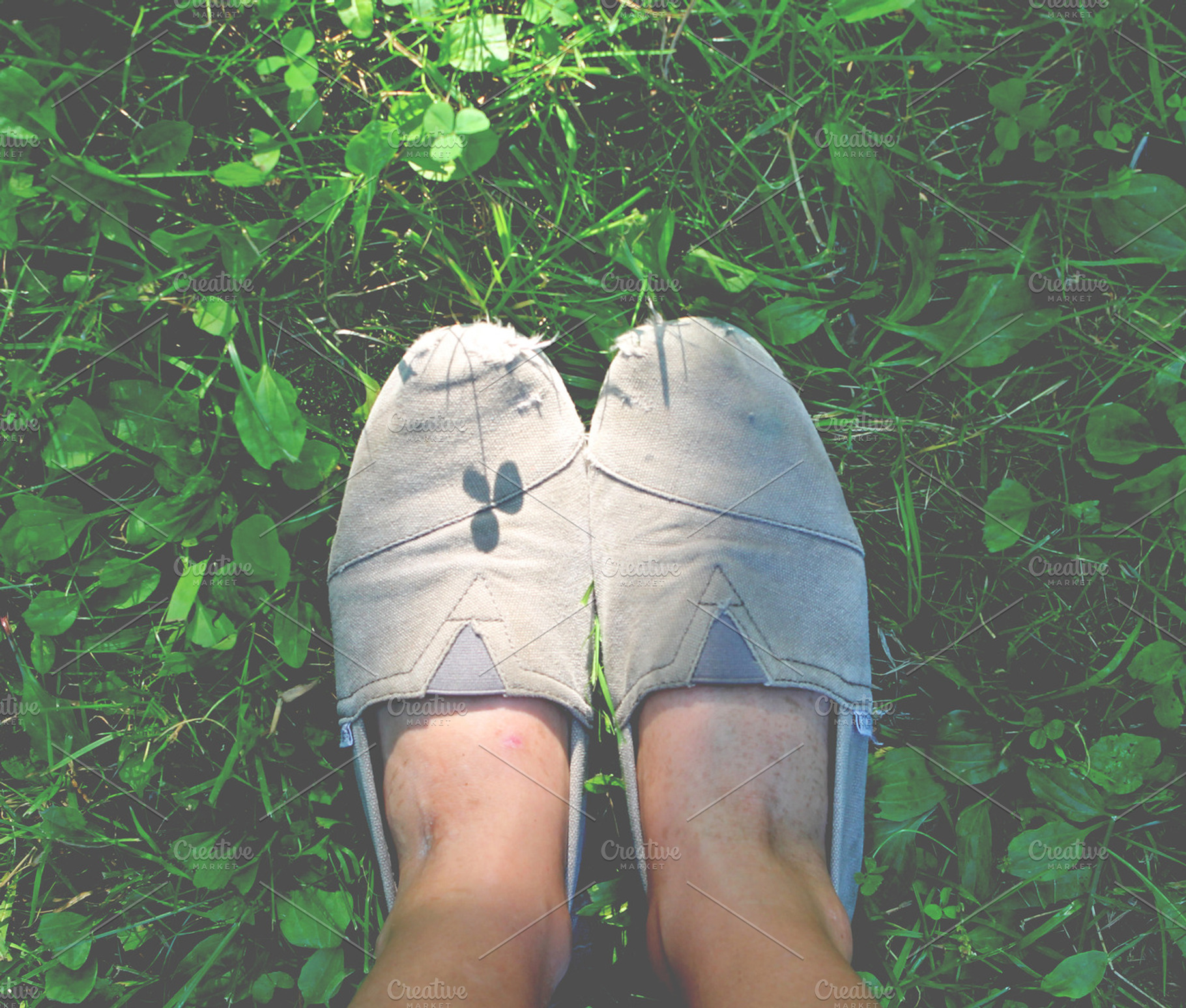 Clover Featuring Clover Grass And Nature